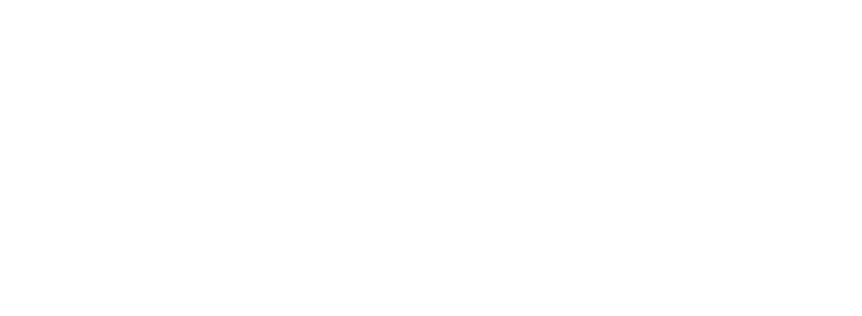 Rapidex